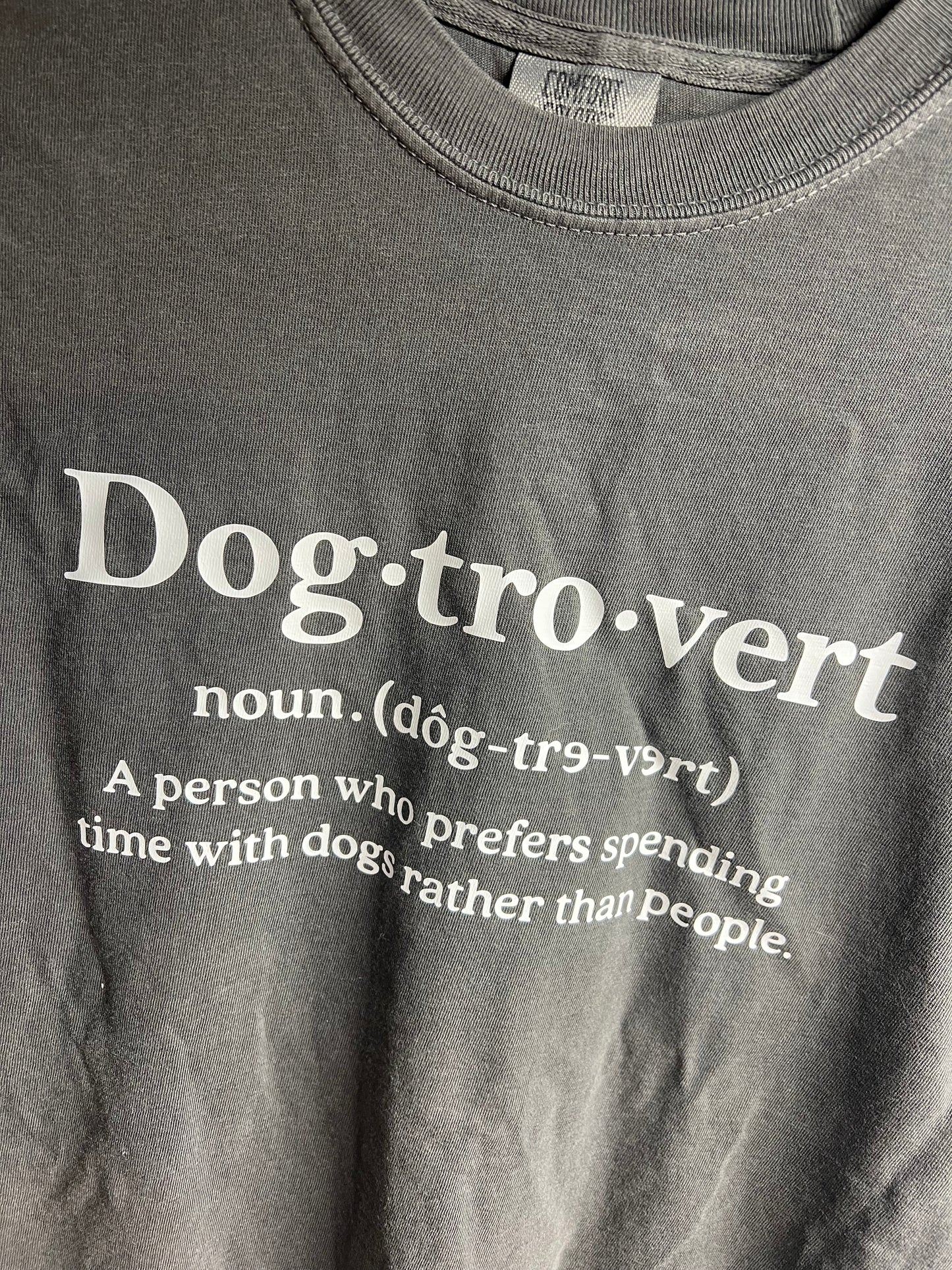 Dogtrovert Comfort Tee