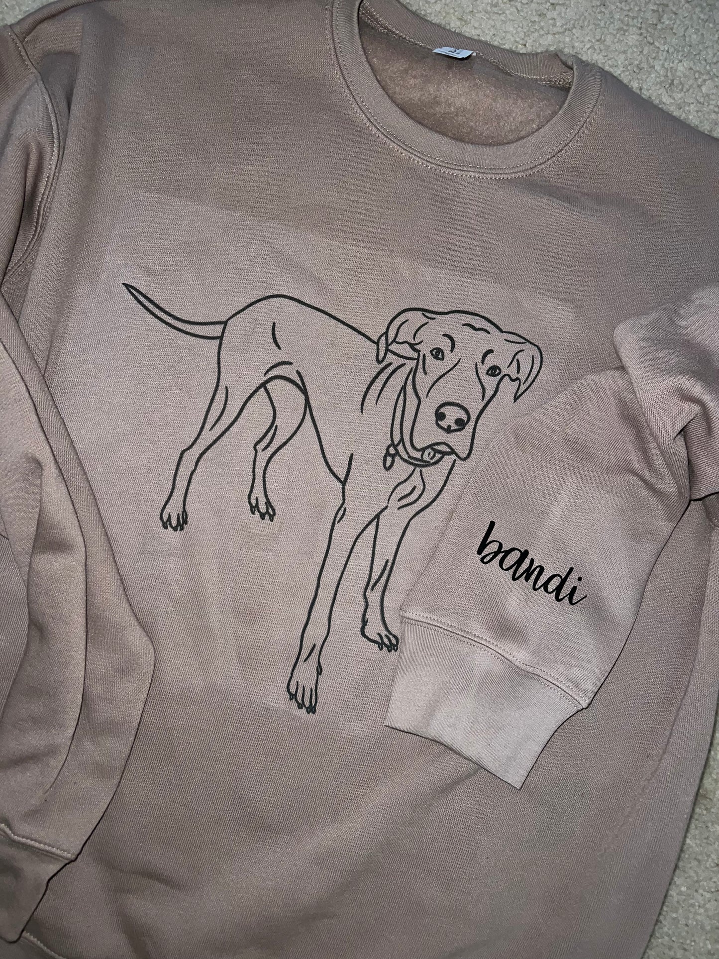 Full body pet portrait crewneck