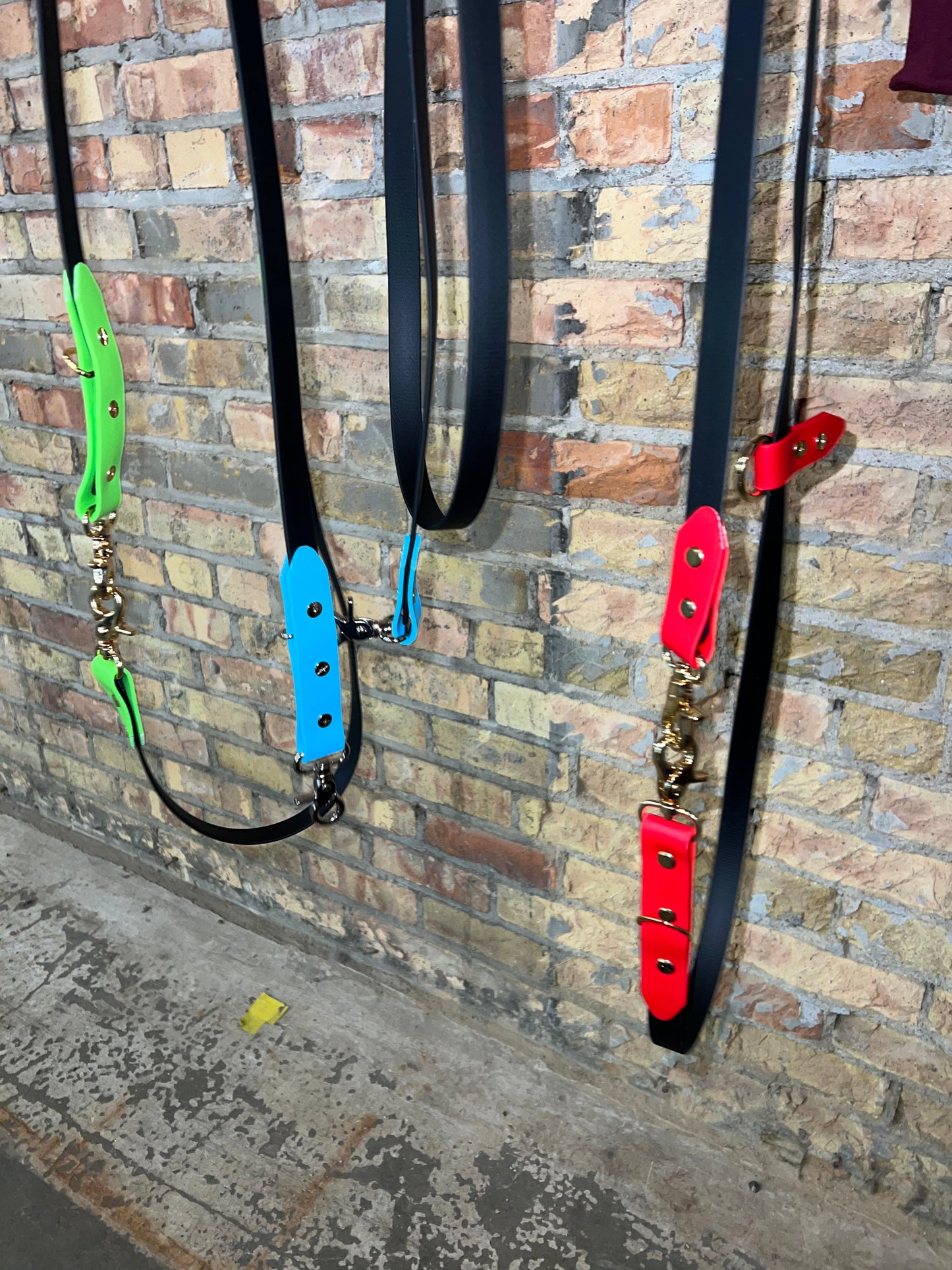 Handsfree Biothane Leash